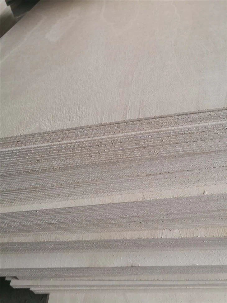 Paulownia saplākšņa