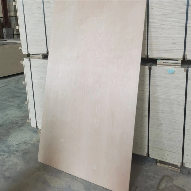 Poplar Plywood