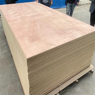 Okoume saplākšņa dēlis